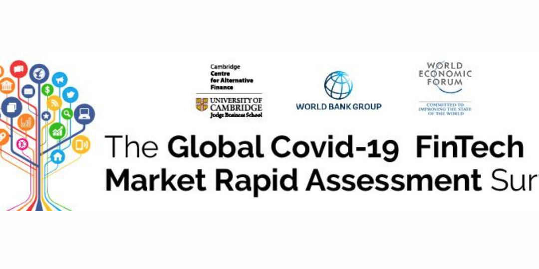 Rapid assessment survey of the global Fintech market post Covid19