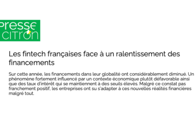 French fintechs facing a slowdown in financing